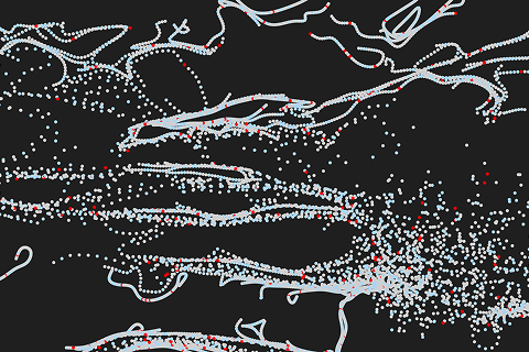 BOTSv3 Blue Team CTF