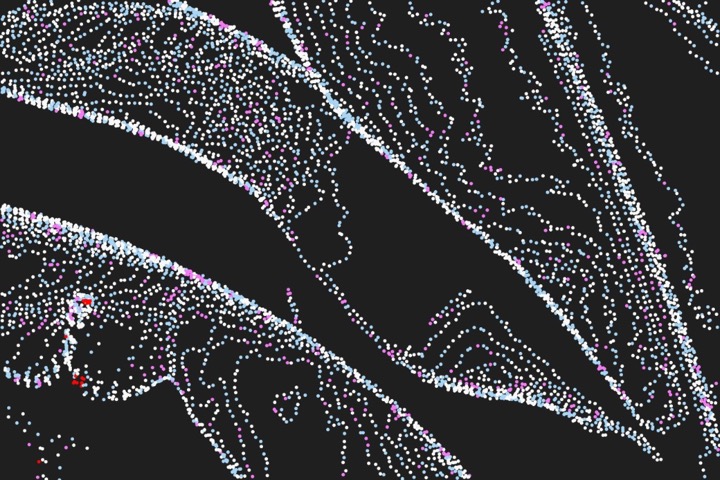 CyberMetric